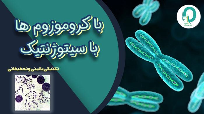 کاور سیتو کاور سیتو