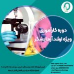 03. دوره کارآموزی ارشد آزمایشگر