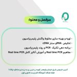 11. دوره کاربری دستگاه Real time PCR - تصویر 2