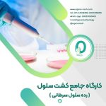08. دوره کشت سلول (رده سلول سرطانی)