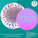 30. دوره آفلاین ceRNA