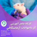 18. کارگاه حیوانات آزمایشگاهی (موش و رات)