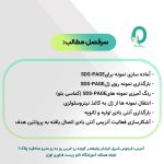 15. کارگاه SDS-PAGE و وسترن بلات - تصویر 4