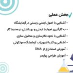 46. دوره پژوهشگر شو - تصویر 4