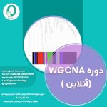 32. دوره آنلاین WGCNA