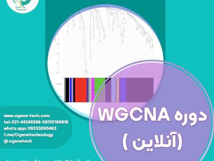 32. دوره آنلاین WGCNA