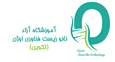 مدارک فنی و حرفه ای